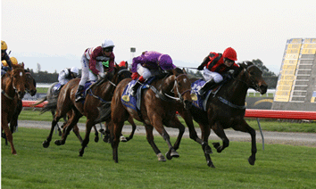 08Metropolitan-Canterbury-Belle