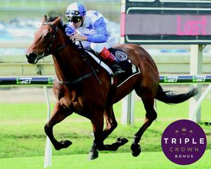 Bostonian (NZ), dual nominator for two out of the three legs of the Triple Crown Sprint Series.