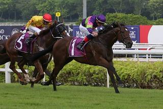 Countofmontecristo (NZ) wins the S$400,000 Chairman’s Trophy (1600m) at Kranji.