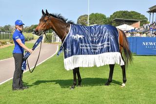 Godolphin's Asiago (Medaglia d'Oro) wins the NZB sponsored G3 Spring Stakes. 