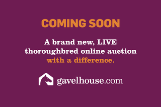 gavelhouse.com - online thoroughbred auction coming soon