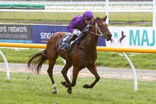 Owner/trainer combination strikes gold again, this time with Secret Allure (NZ).