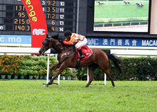 Luen on Treasure claims the Listed Lisboa Challenge Final in Macau. Photo: Macau Jockey Club