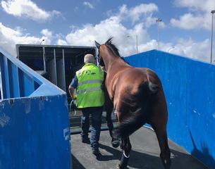 Flights set to resume in the next two to three weeks with increased pre-export testing. 