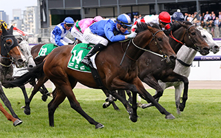 Oceanex (NZ) wins the G2 Matriarch Stakes impressively. 