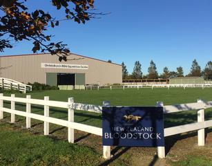 Dual code Sale to be hosted at the Canterbury Agricultural Park