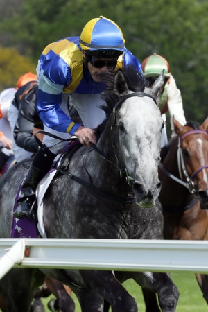 Saint_Emilion_av_6199s-300x450