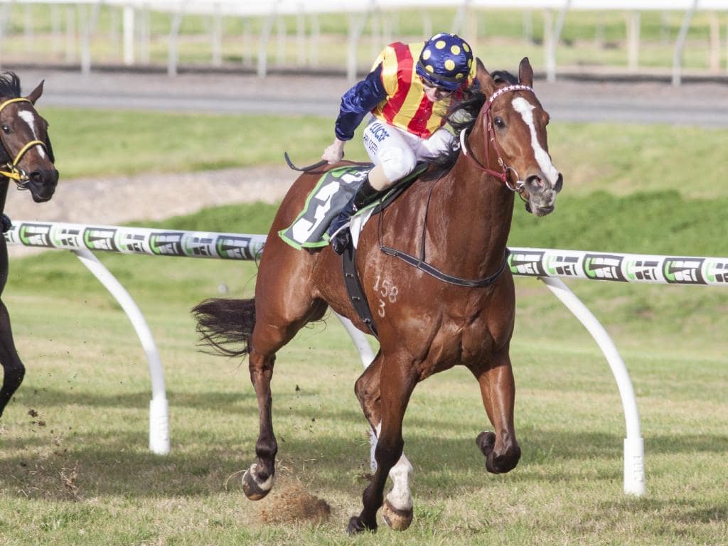 Theanswermyfriend has now won A$498,525 in prize-money – almost eight times his purchase price.