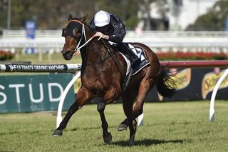 Tucanchoo taking out the Winter Cup. Photo Credit: Bradley Photographers