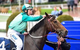 A fast-finishing third in the A$1 million race by New Zealand-bred star Humidor (NZ) (Teofilo) secured him the 2018 New Zealand Bloodstock Caulfield WFA Championship title.