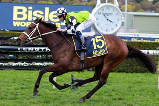 Unforgotten is now the winner of more than A$1.24 million in prize-money – four times her purchase price.