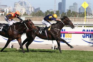 Grunt has emerged as one of Australian racing’s brightest three-year-old stars after winning Saturday’s A$1 million Australian Guineas. Photo: Mark Gatt